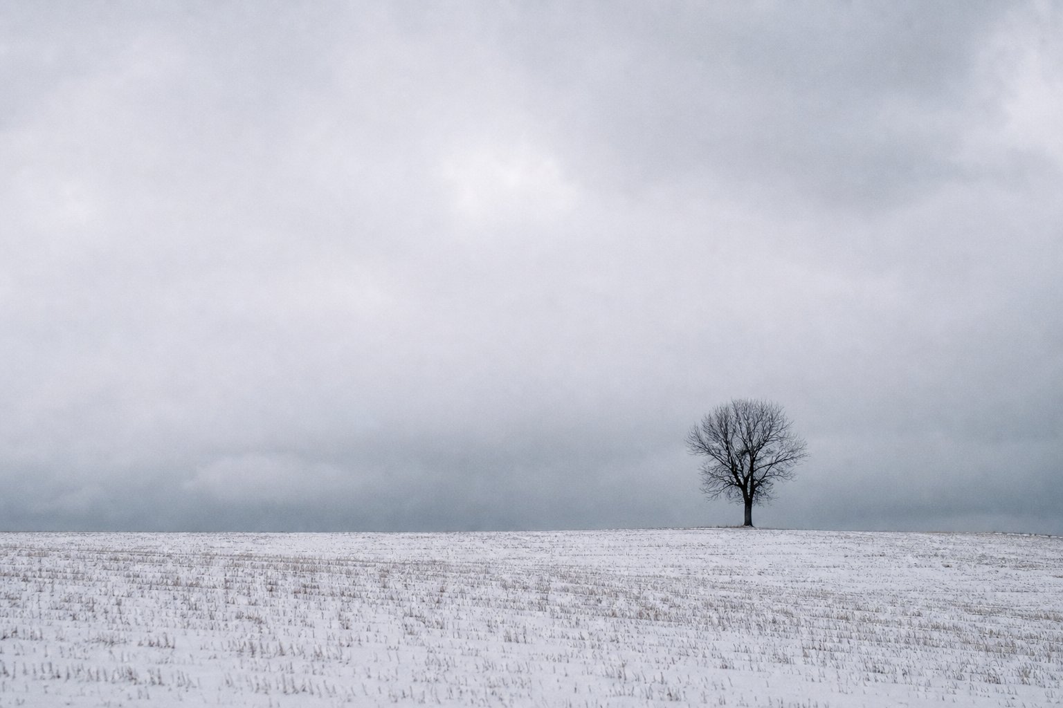 Winter field